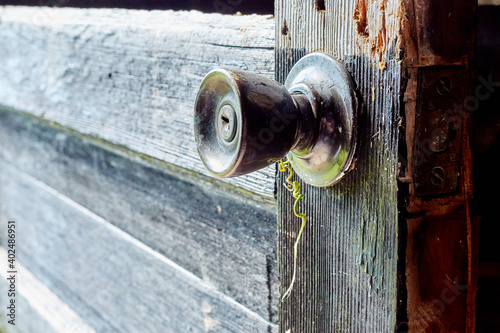 Old Door Knob with Vine Sprig in Weathered Door, Horizontal Side View