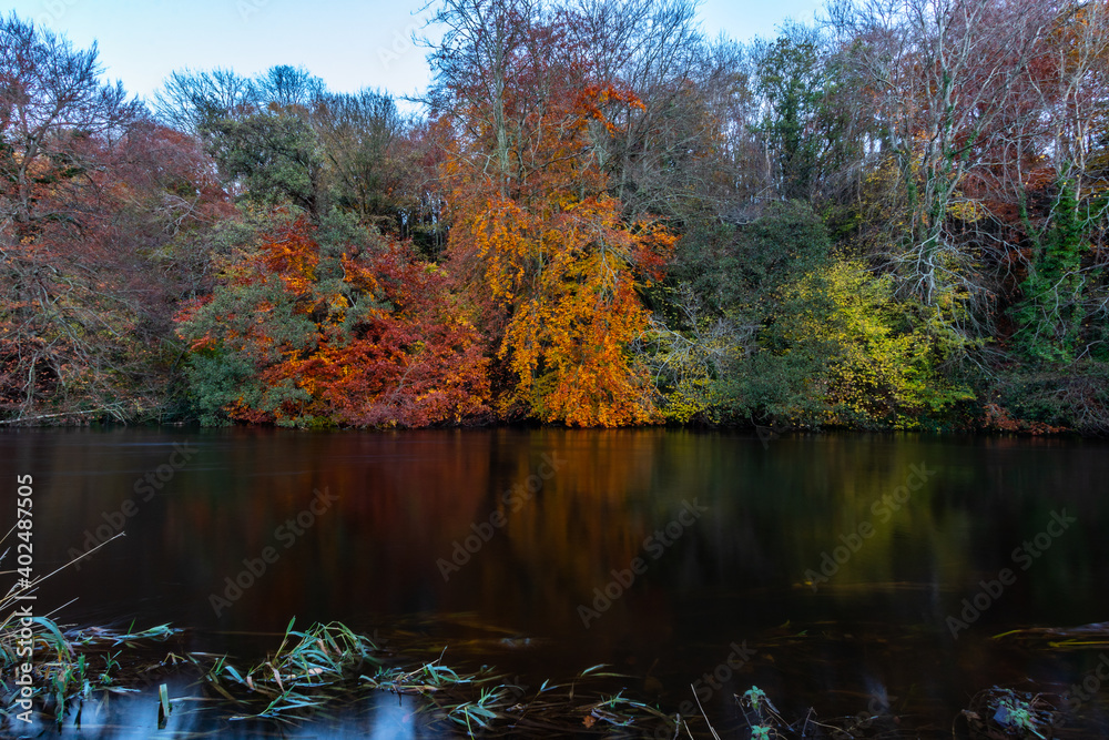 Autumn landscape of colorful trees reflected in the mirrored surface of the calm river on a cloudy day. Trees with orange fall foliage. River Liffey Ireland, Europe 2020 Autumn landscape of colorful trees reflected in the mirrored surface of the calm river on a cloudy day. Trees with orange fall foliage. River Liffey Ireland, Europe 2020