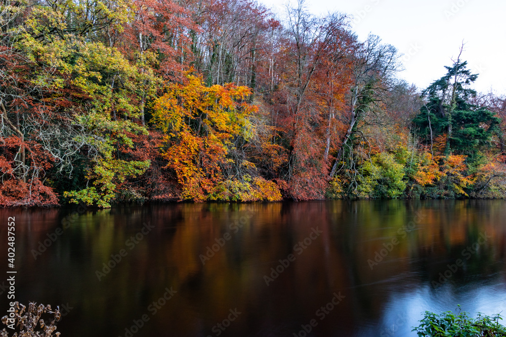Autumn landscape of colorful trees reflected in the mirrored surface of the calm river on a cloudy day. Trees with orange fall foliage. River Liffey Ireland, Europe 2020 Autumn landscape of colorful trees reflected in the mirrored surface of the calm river on a cloudy day. Trees with orange fall foliage. River Liffey Ireland, Europe 2020