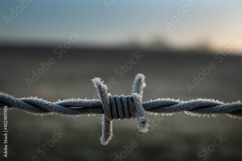 Barb wire covered in frost. Barb is centre and front of frame with blurred field in background and early morning golden hour sun to left side
