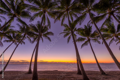 Palm Cove at dawn