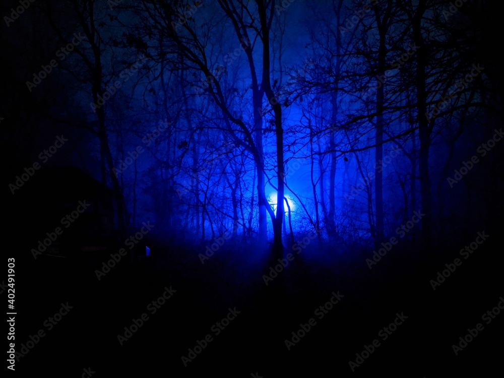 Blue light shining through fog and trees
