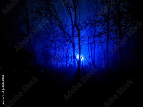 Blue light shining through fog and trees