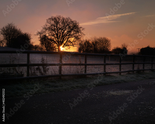 Sunrise between trees illuminating the field farmland and fencing. Cold frost covered field fence and plants on winters morning in England, UK