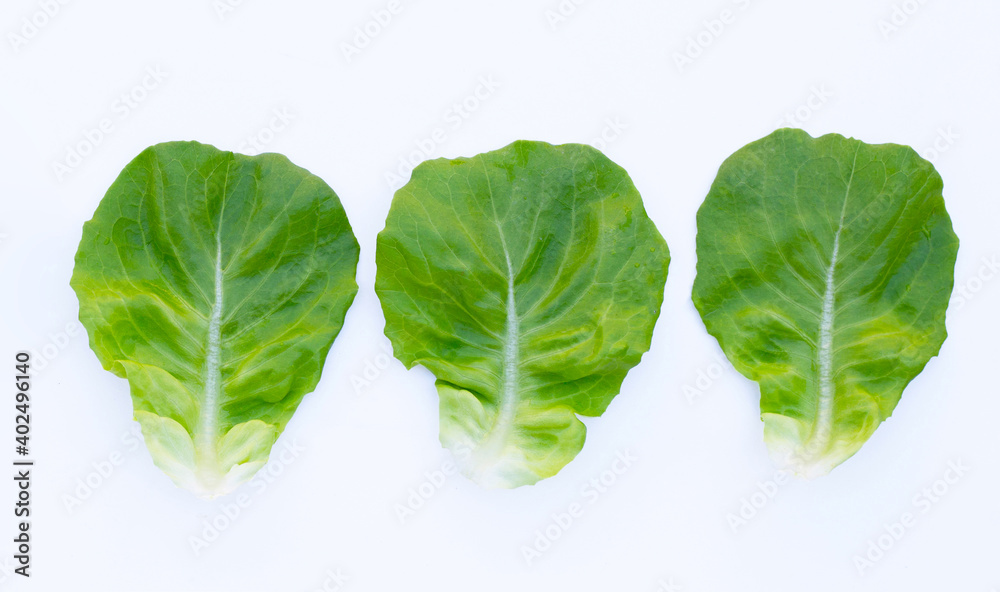 Lettuce leaves on white background. Lettuce leaves on white background.