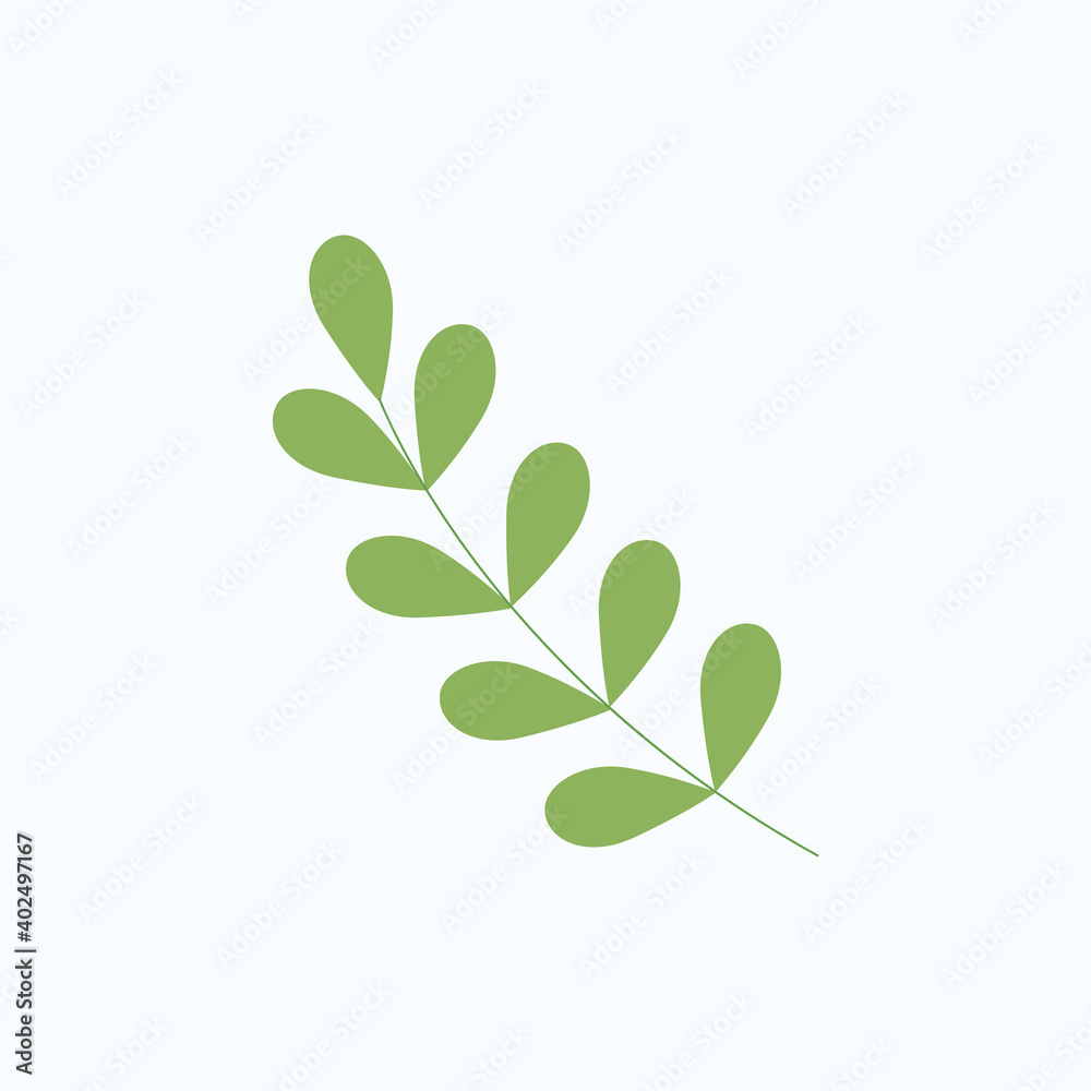 eucalyptus silver dollar leaf vector illustration. green flat style leaves eucalyptus silver dollar leaf vector illustration. green flat style leaves
