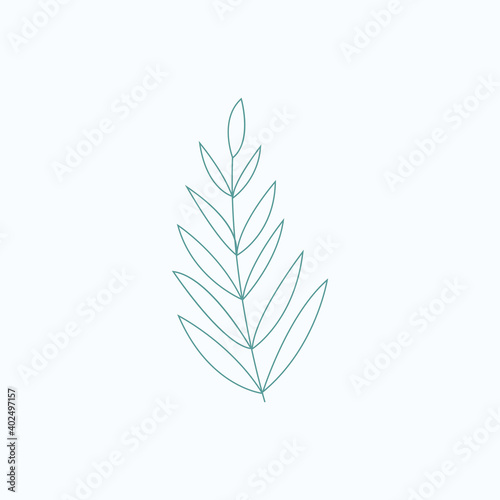 Eucalyptus leaf vector illustration. green flat style leaves