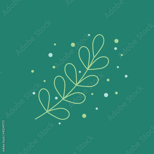 eucalyptus silver dollar leaf vector illustration. green flat style leaves