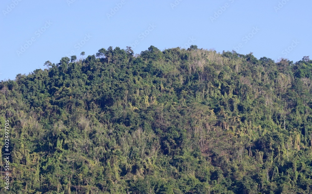Tropical forested mountain against a clear blue sky background, southeast Asia. Tropical forested mountain against a clear blue sky background, southeast Asia.