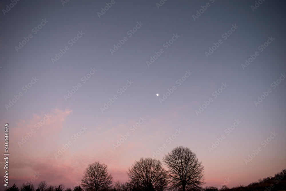 Landscape of blue sky with pink clouds, tree silhouette, grassy field with dusting of snow, and the moon.