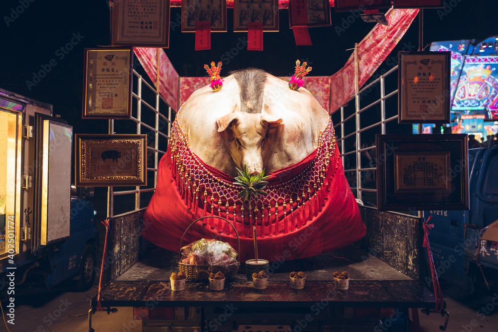 Huge pig exhibited at fair during annual religious festival