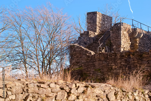 Schaunberg castle ruins in the municipality of Hartkirchen in Upper Austria photo