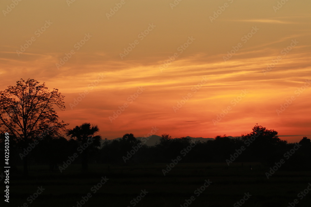 Golden light from sunrise and silhouette in the morning