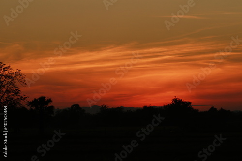 Golden light from sunrise and silhouette in the morning