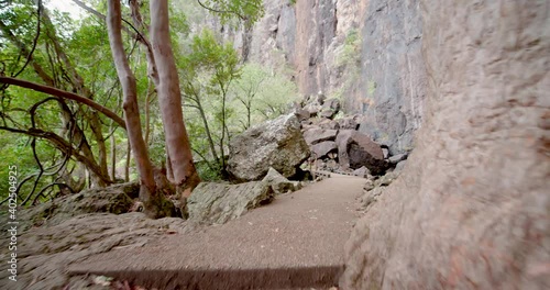Hiking on Purling Brook Falls Track in Springbrook National Park Rainforest