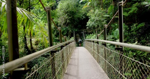 Hiking on Purling Brook Falls Track in Springbrook National Park Rainforest