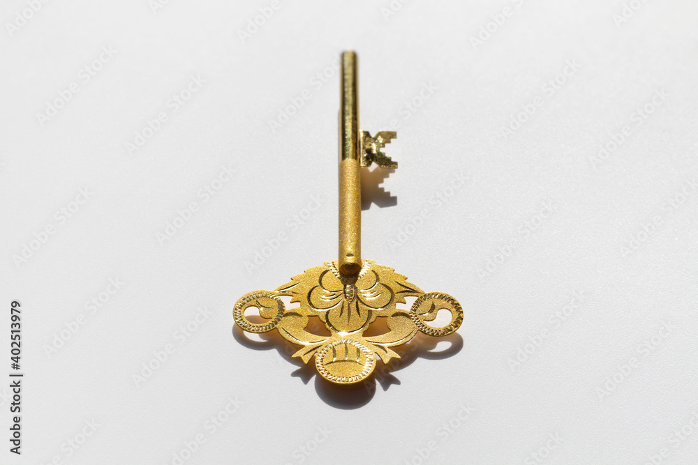 Close up of pure gold key. Isolated on white background. Front view.
Close up of pure gold key. Isolated on white background. Front view.