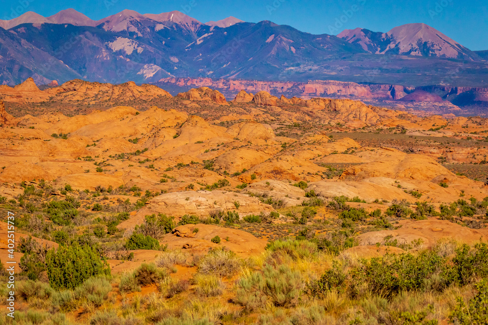 Petrified Dunes in Arches National Park