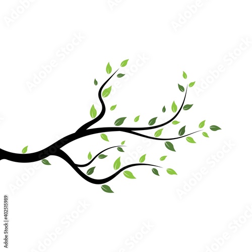 tree branch logo vector