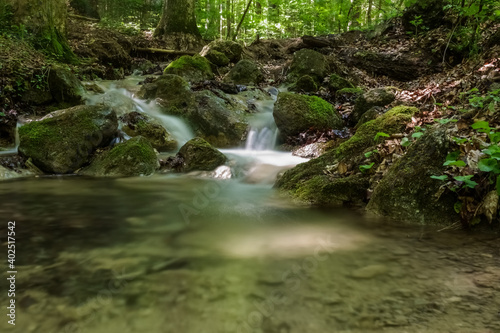 Fototapeta Naklejka Na Ścianę i Meble -  beautiful soft clear water with a little waterfall an a basin in a forest