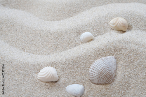 Blurred white sand wave texture with shell use for holiday and summer background