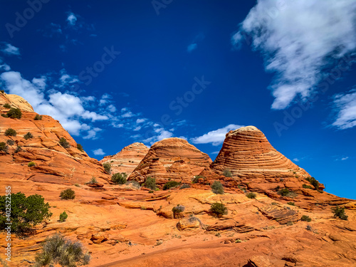 Sandstone formations in Coyote Butte North