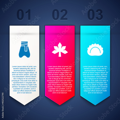 Set Cossack pants, Chestnut leaf and Dumplings. Business infographic template. Vector.