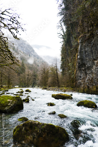 Swirling mountain river flows among rocks covered with green moss and trees