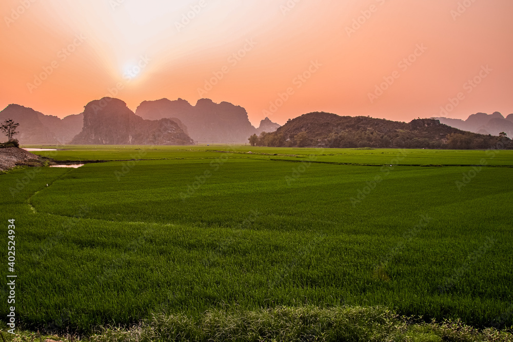 Beautiful sunrise over the rice paddy in the countrysides of Ninh Binh, Vietnam