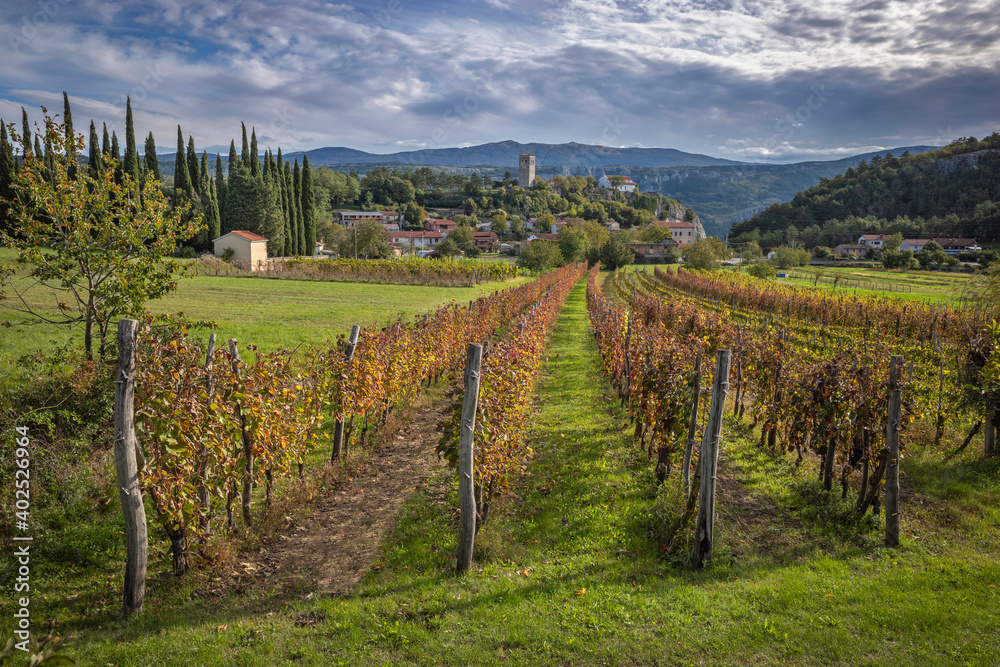 Village Kubed in Istria with vineyards in the foreground, Slovenia