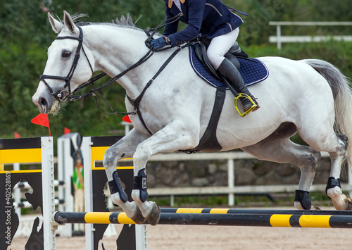 A jumping white sports horse with a bridle and a rider riding with his foot in a boot with a spur in a stirrup.
