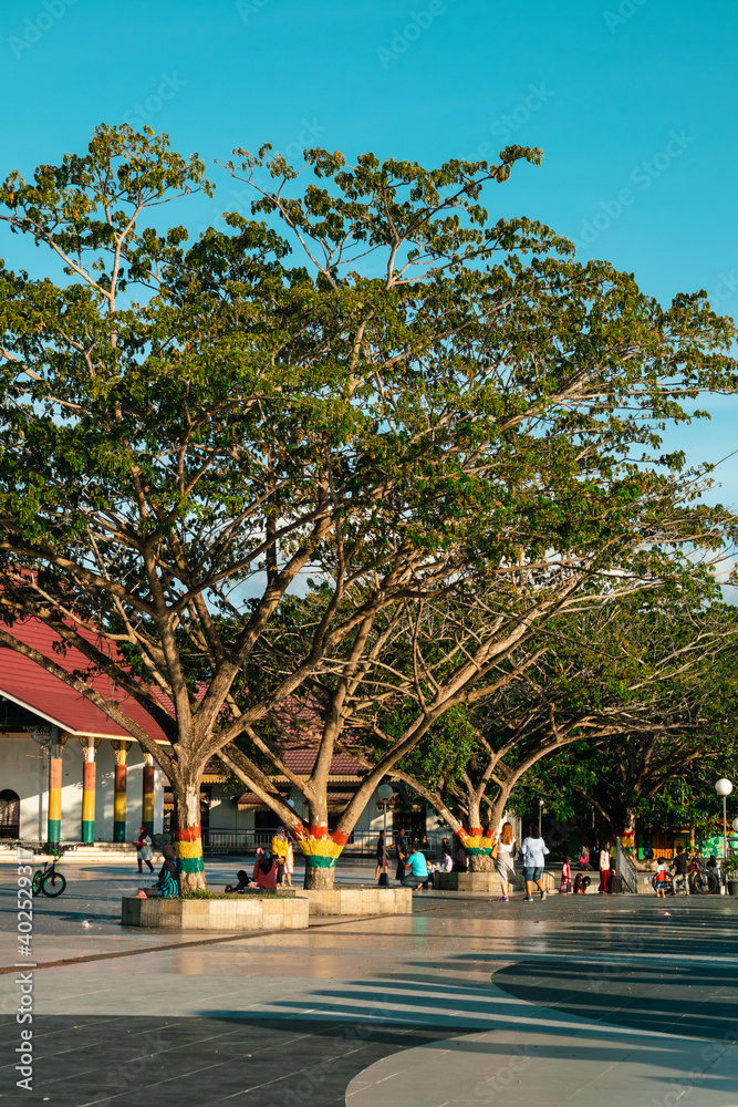 Trees at the siak park and people walking around the streets, Riau Indonesia Trees at the siak park and people walking around the streets, Riau Indonesia