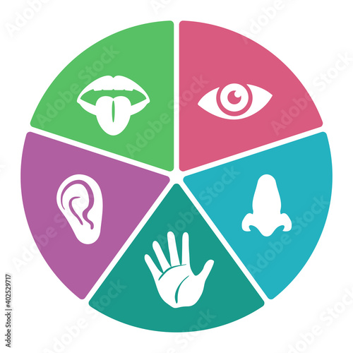 Five senses icons in diagram shape