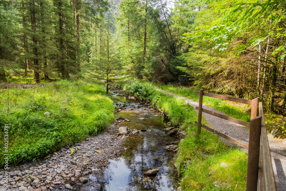Tiny river in the Irish countryside Tiny river in the Irish countryside
