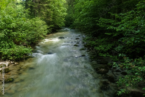 soft flowing brook in a forest while hiking