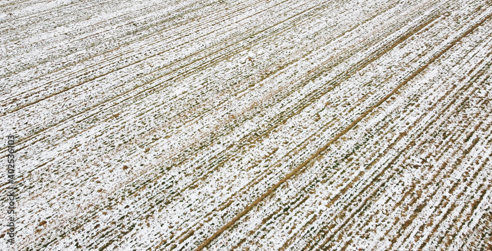 Texture of snowy winter agro field for background Texture of snowy winter agro field for background