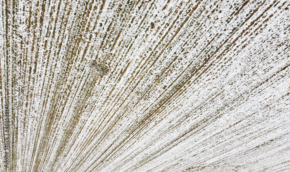 Fototapeta premium Texture of snowy winter agro field for background