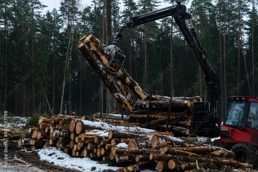 Fototapeta premium Logging machine working in winter forest area. Forest management stage deforestation.