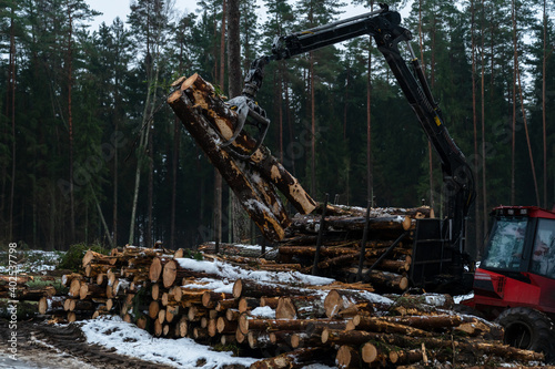 Logging machine working in winter forest area. Forest management stage deforestation.
