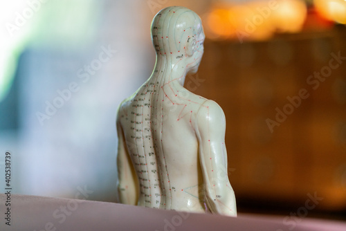 Close up of a male acupuncture doll