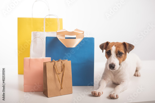 Jack russell terrier dog lies next to different paper bags on a white background. Sale season.