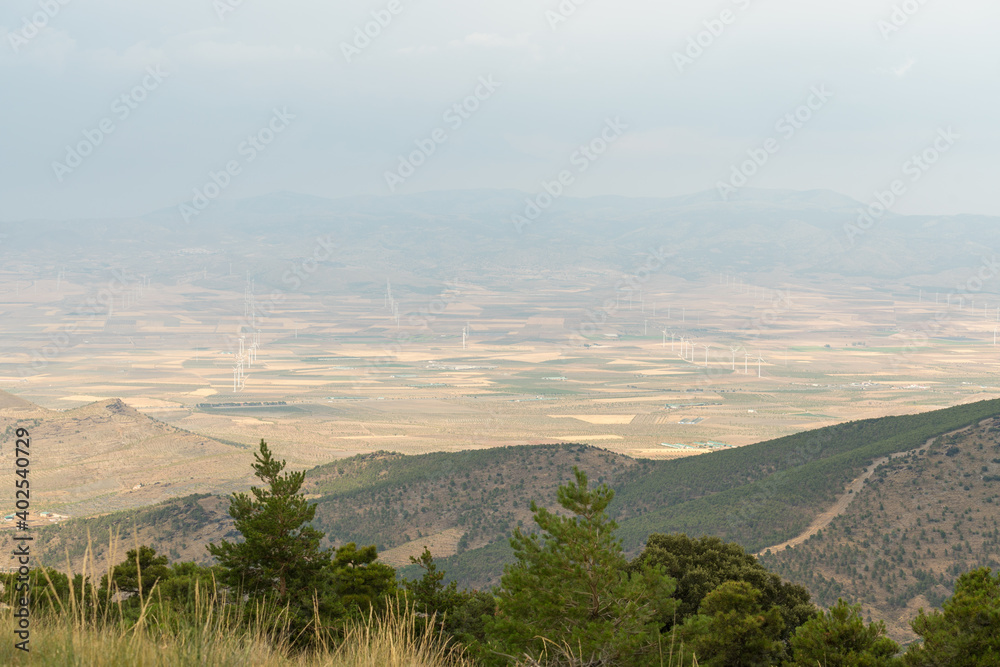 Fototapeta premium wind farm in southern Spain