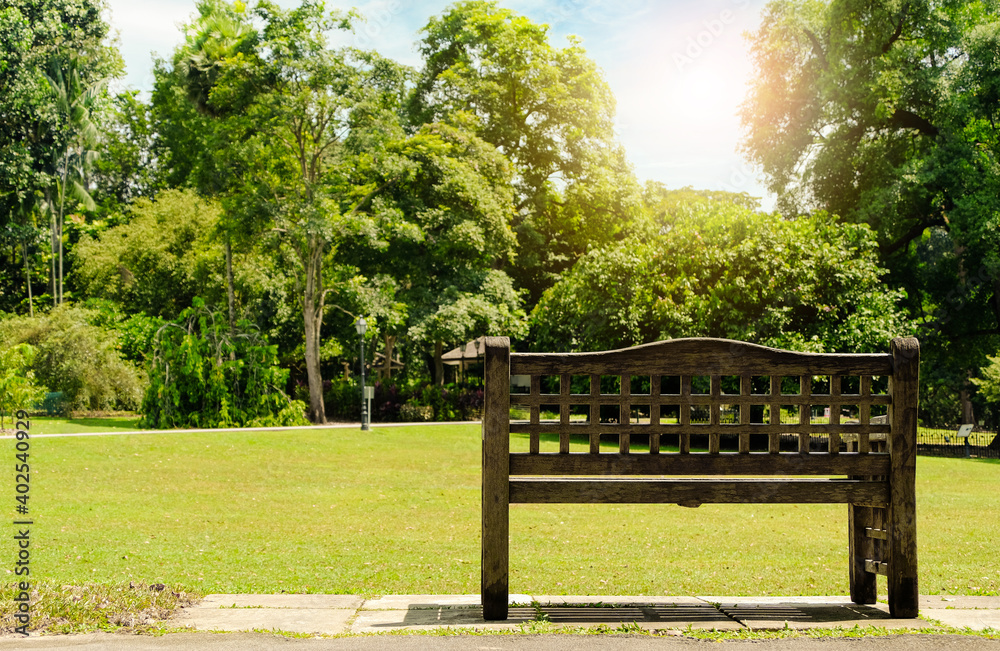 An old wooden bench in the public botanic garden with sunshine.