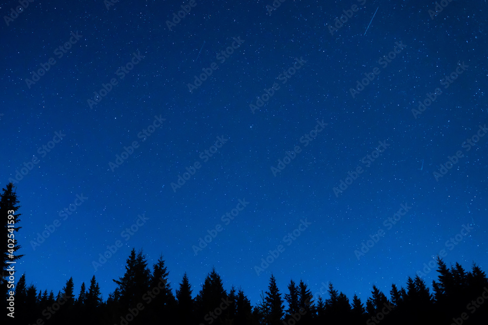 Forest and pine trees landscape under blue dark night sky with many stars, milky way cosmos background Forest and pine trees landscape under blue dark night sky with many stars, milky way cosmos background