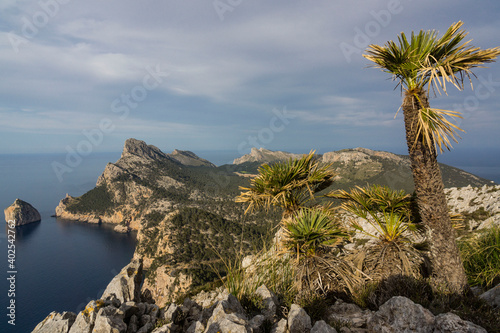 islote de Es Colomer,peninsula de Formentor, Pollença, Parque natural de la Sierra de Tramuntana, Mallorca, balearic islands, spain, europe