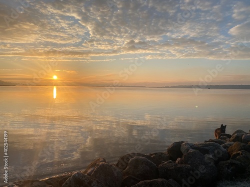 sunset over the sea