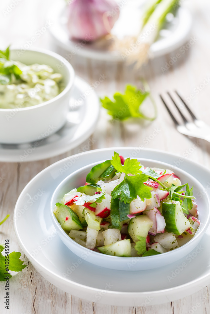 Spring salad with radish, cucumber and avocado Spring salad with radish, cucumber and avocado