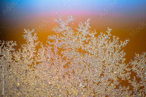 snow covered grass