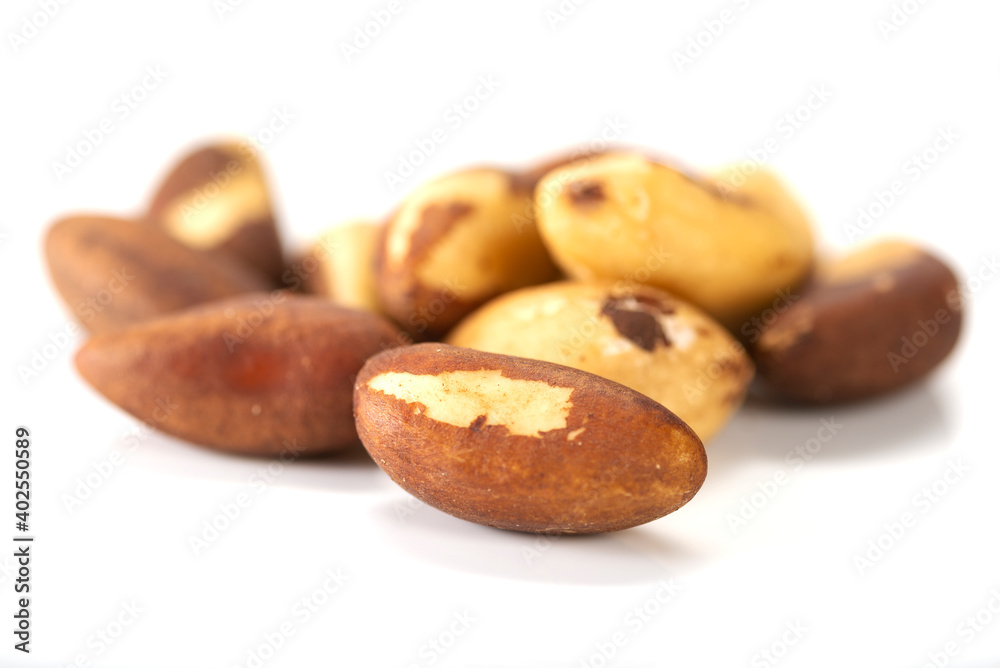 Brazil nut Bertholletia excelsa on a white background, isolated Brazil nut Bertholletia excelsa on a white background, isolated