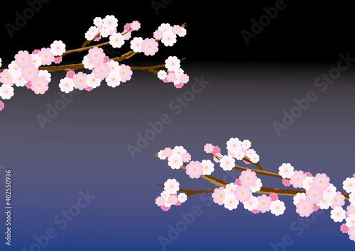 桜